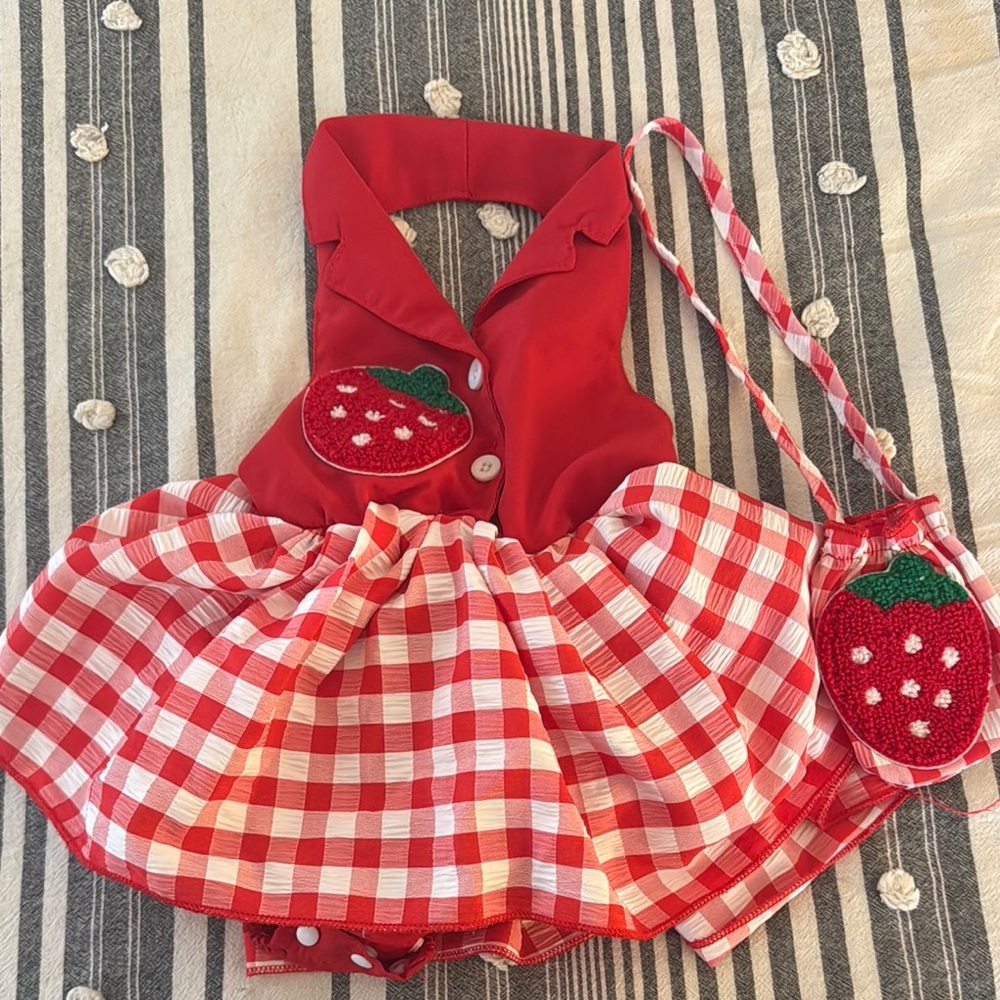 Red Strawberry Gingham Kids Dress with Matching Purse